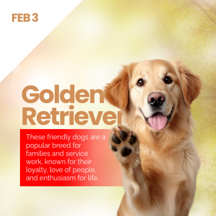 Modern & Minimal Golden Retriever Day Instagram Post template