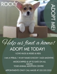 Modern Adoption Pet Video Flyer Iflaya (Incwadi ye-US) template