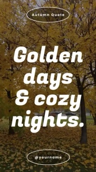 Modern Autumn Cozy Nights Quote Instagram Sto template