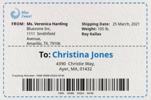 White Shipping Label Label Template