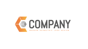 Modern Geometric Company Logo Design Template Presentation (16:9)