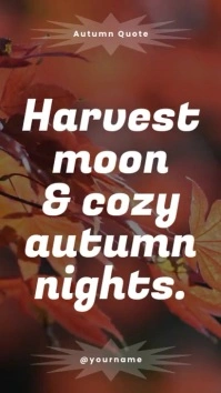Modern Harvest Autumn Nights Quote Instagram template