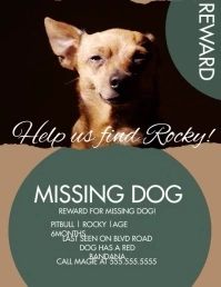 Modern Lost Dog Missing Dog Video Flyer Volante (Carta US) template