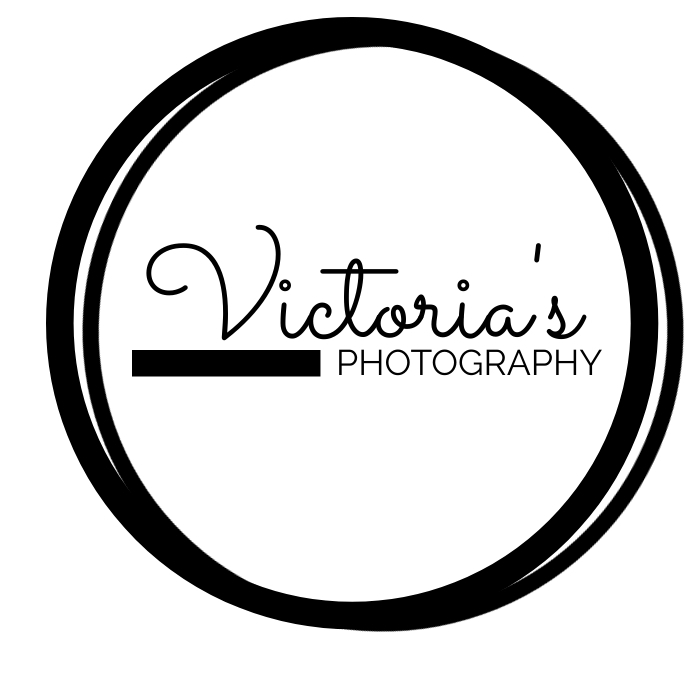 Script Logo Templates