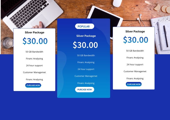 Modern Pricing Plan Mock up A4 template