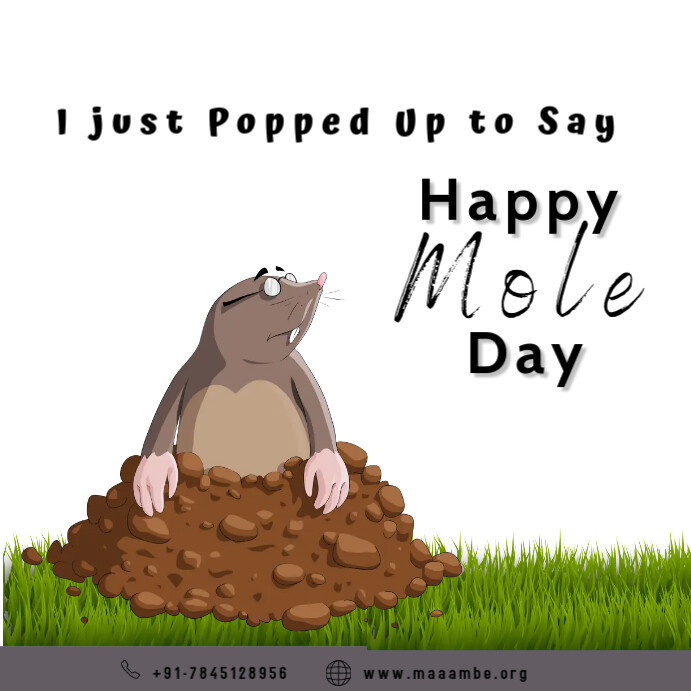 Mole Day