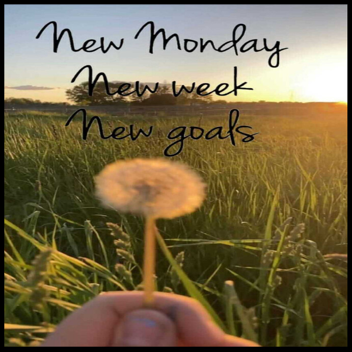 Plantilla de monday instagram post | PosterMyWall