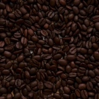 Morning Coffee bean animation instagram video Square (1:1) template