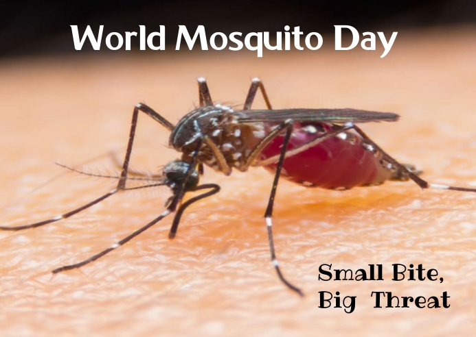 Mosquito Day Template PosterMyWall