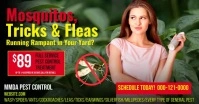 Mosquitos Trick & Fleas Facebook Shared Image template
