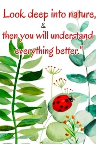 motivation quotes Illustration Pinterest template