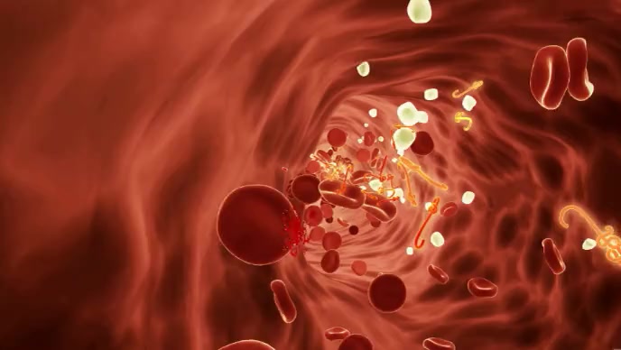 Copy of muscle bleeding | PosterMyWall