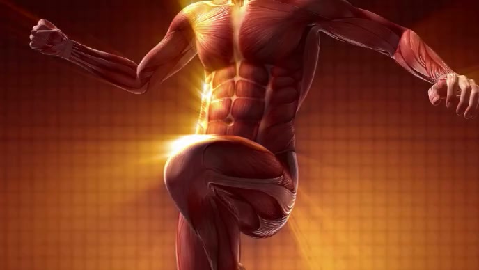 Copy of MUSCULAR POWERFULL Body | PosterMyWall