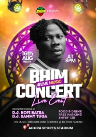 Music Concert / Party Poster A4 template
