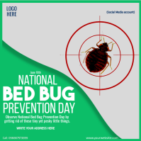 national bed bug prevention day โพสต์บน Instagram template
