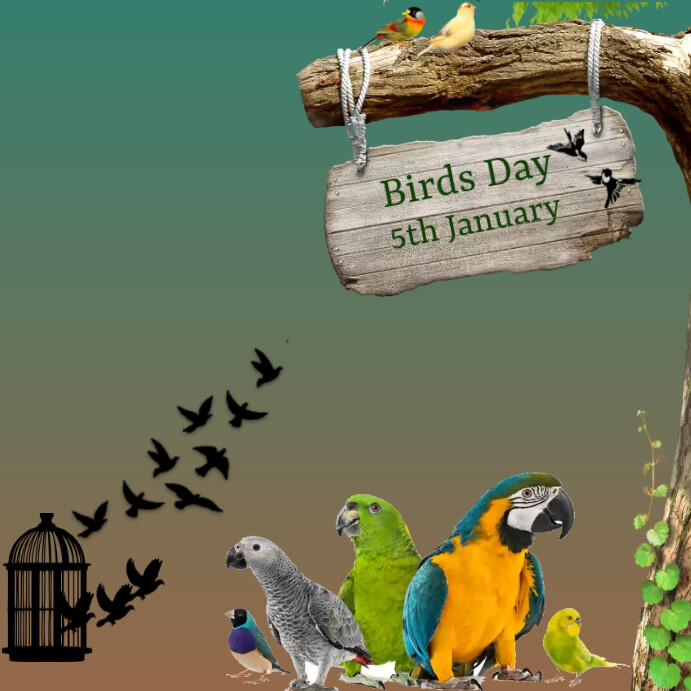 National Bird day Instagram-bericht template