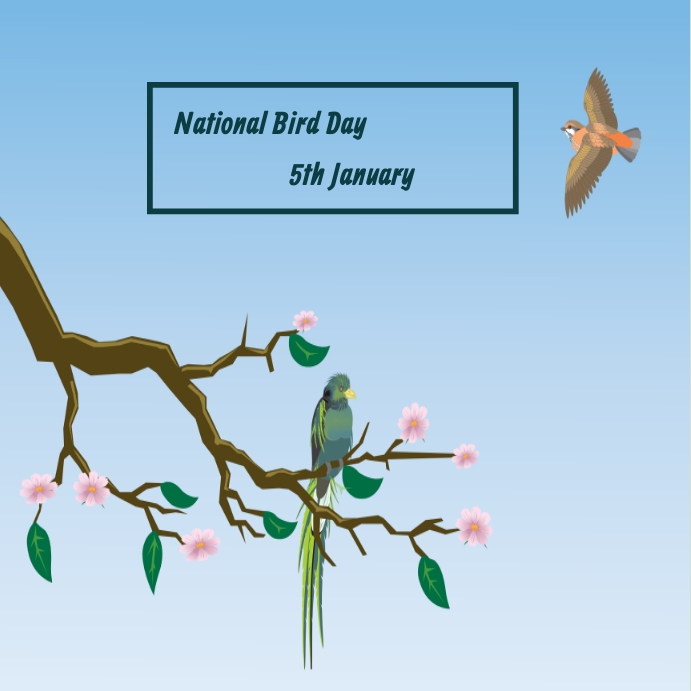 National Bird day Template PosterMyWall