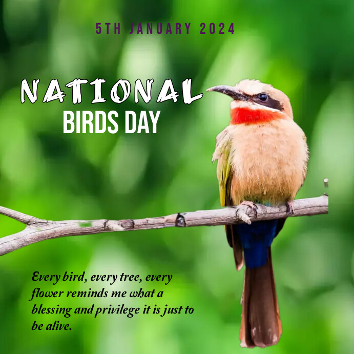 NATIONAL BIRDS DAY Template PosterMyWall NATIONAL BIRDS DAY Template PosterMyWall