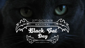 Schwarz National Black Cat Nagłowek bloga Template