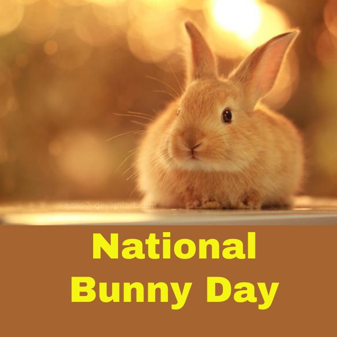national bunny day Template | PosterMyWall