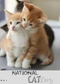 National Cat Day template A6