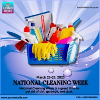 National Cleaning Week Instagram Post template