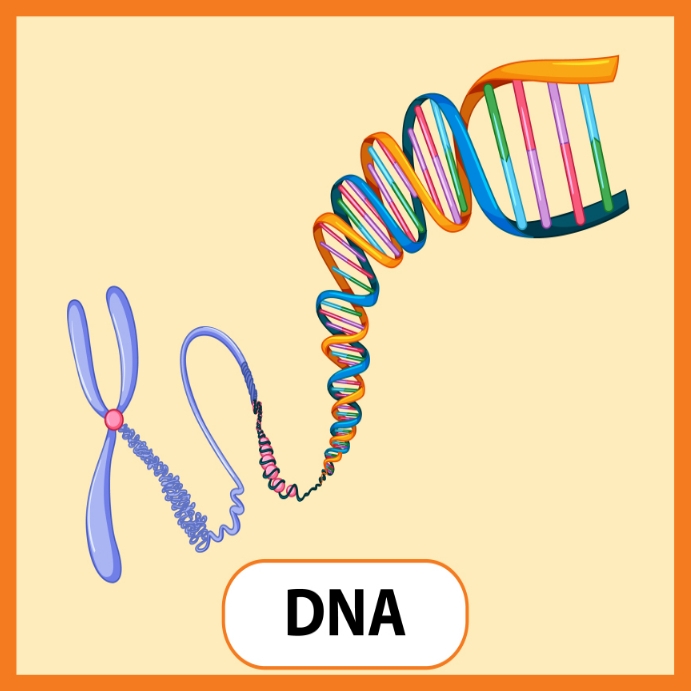 National DNA day Template | PosterMyWall