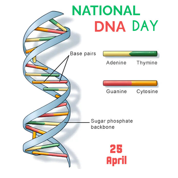 Dna Poster Examples Dna Drawing Poster