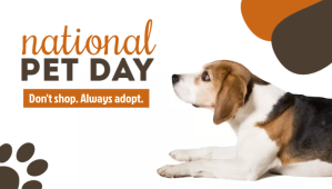 Blanc National Dog Day Templates Blog Header