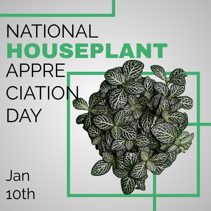 National Houseplant Appreciation Day Template PosterMyWall