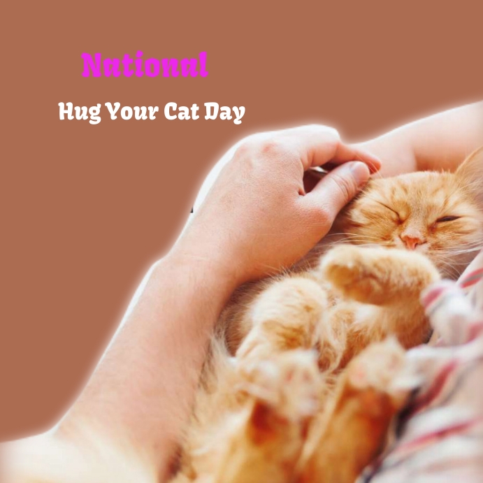 national hug your cat day Template PosterMyWall