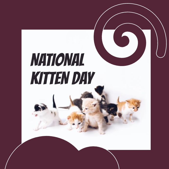 National Kitten Day Template | PosterMyWall