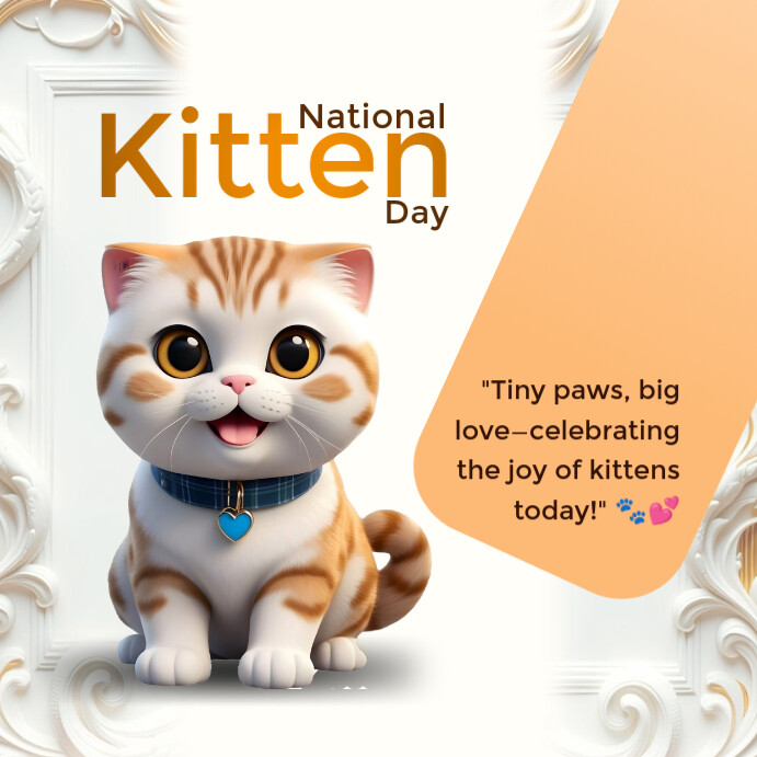National kitten day Instagram Post template