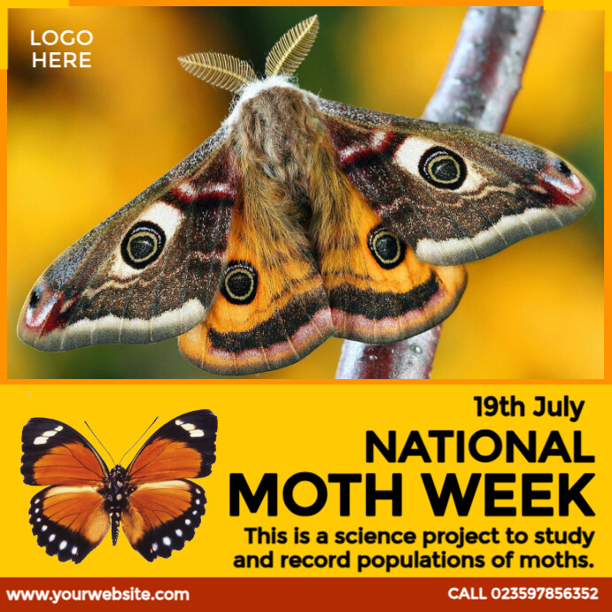 Moth Week Activity National Moth Week Templat | PosterMyWall
