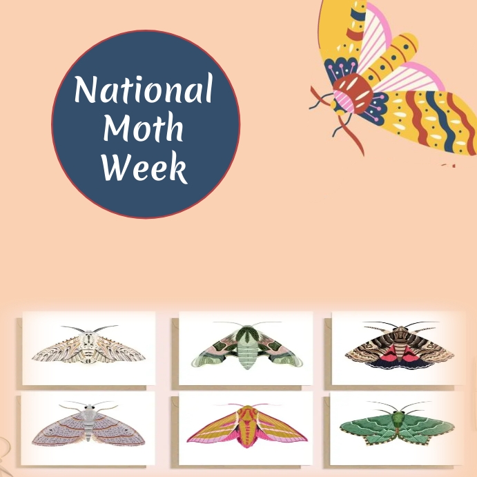 Moth Week Activity national moth week Template | PosterMyWall