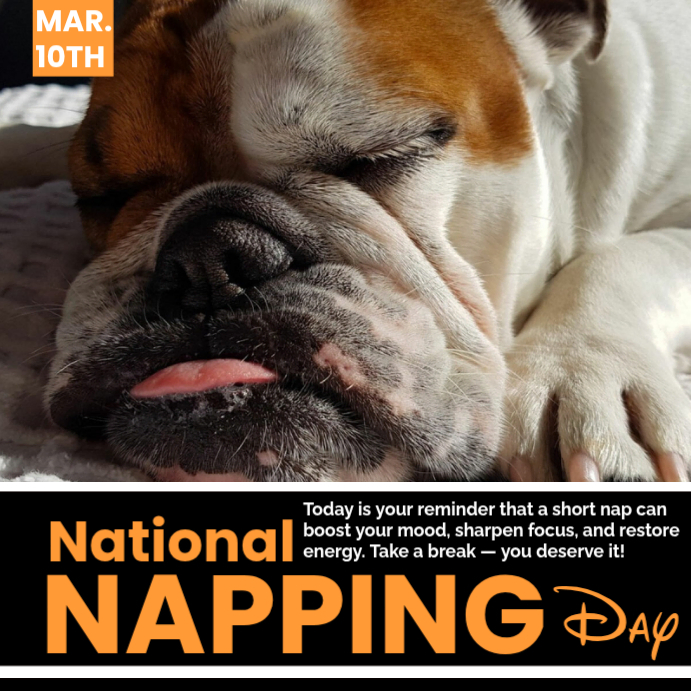 Kit Napping Post National Napping Day Template | PosterMyWall