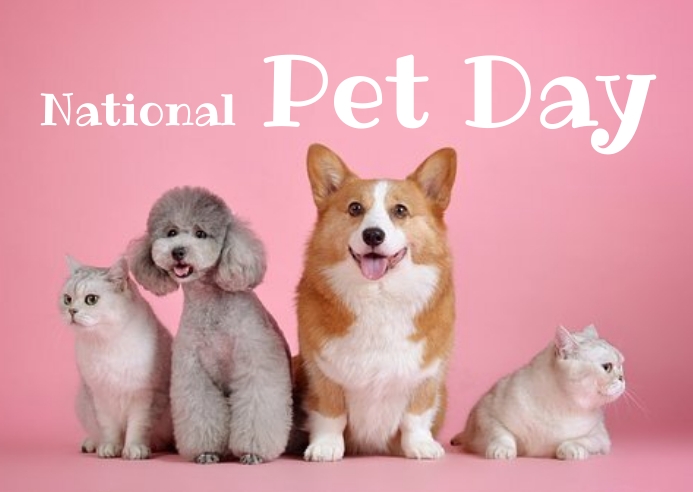 National pet day Postcard template