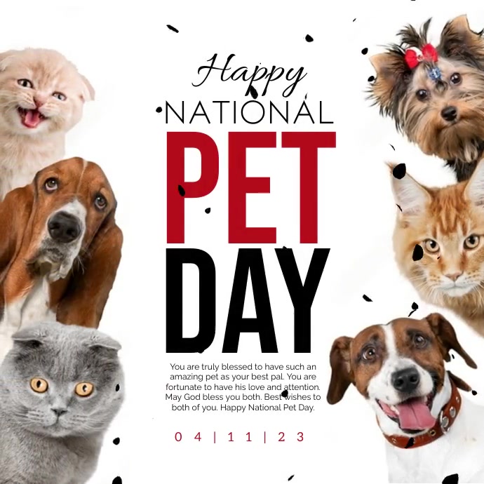 Copy Of National Pet Day PosterMyWall copy-of-national-pet-day-postermywall