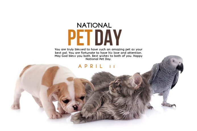 National Pet Day Template  Poster Plakkaat