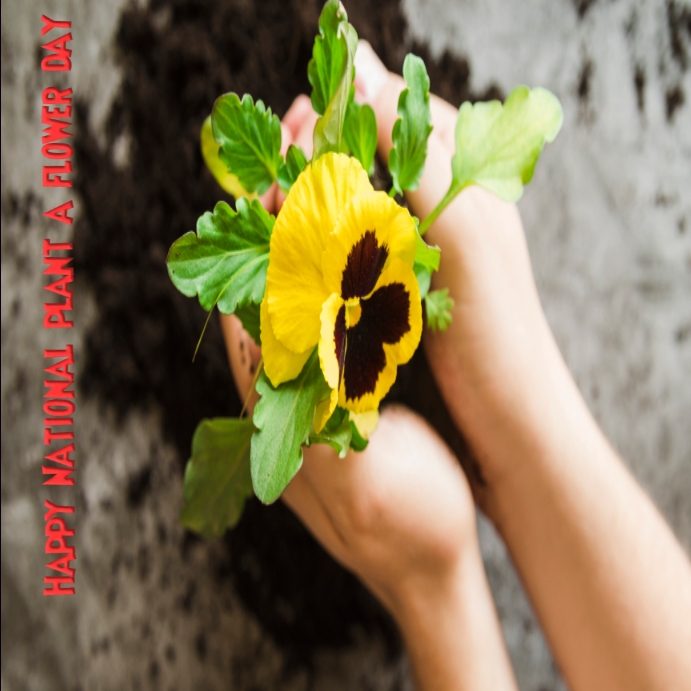 Copy of National plant a flower day PosterMyWall