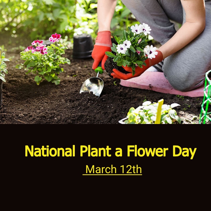 Plant A Flower Day Clipart at Dorothy Pines blog