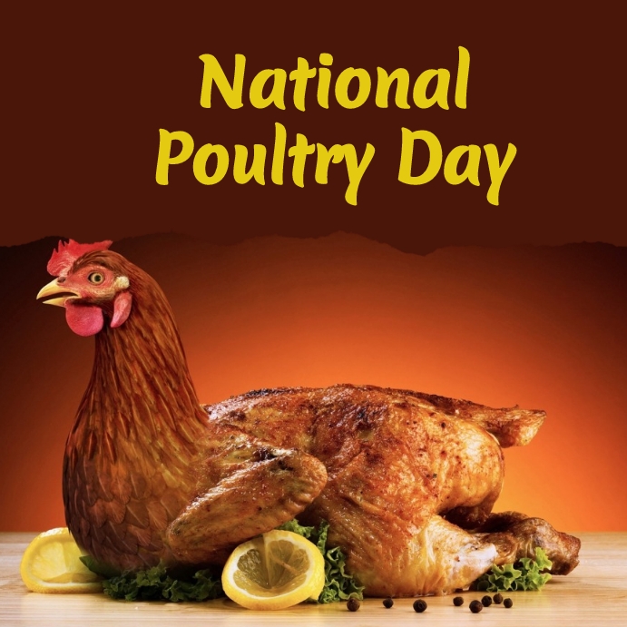 national poultry day Pos Instagram template