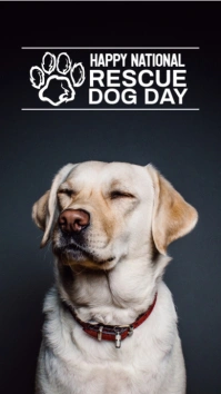 National rescue dog day Instagram Story template
