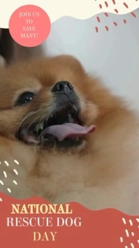 National Rescue Dog Day Video Template