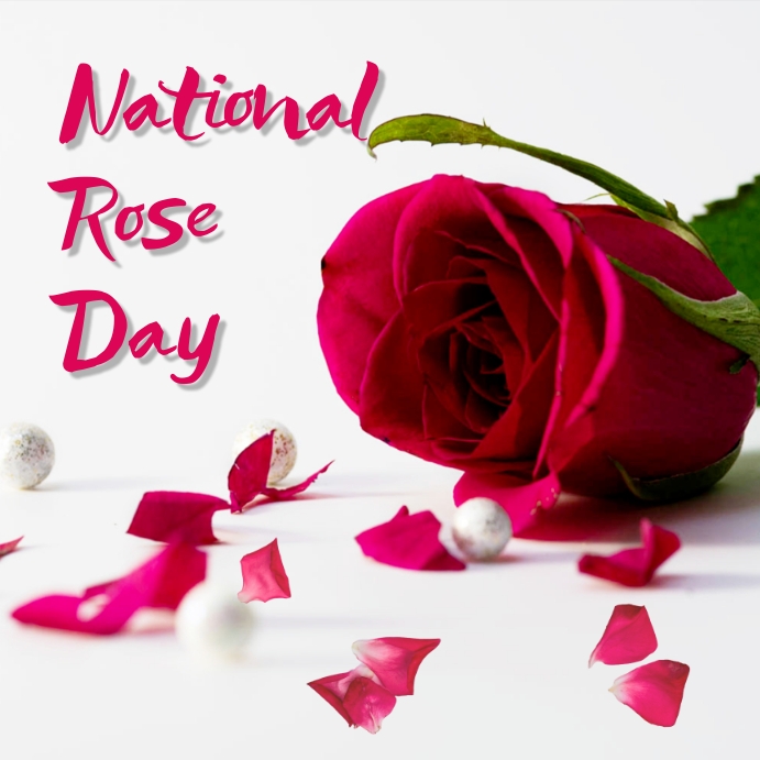 Rosé Day 2025
