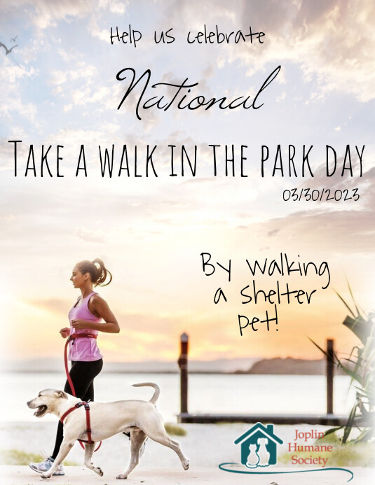 Walk Day National Walking Day Flyer