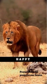 National wildlife day Ekran reklamowy (9:16) template