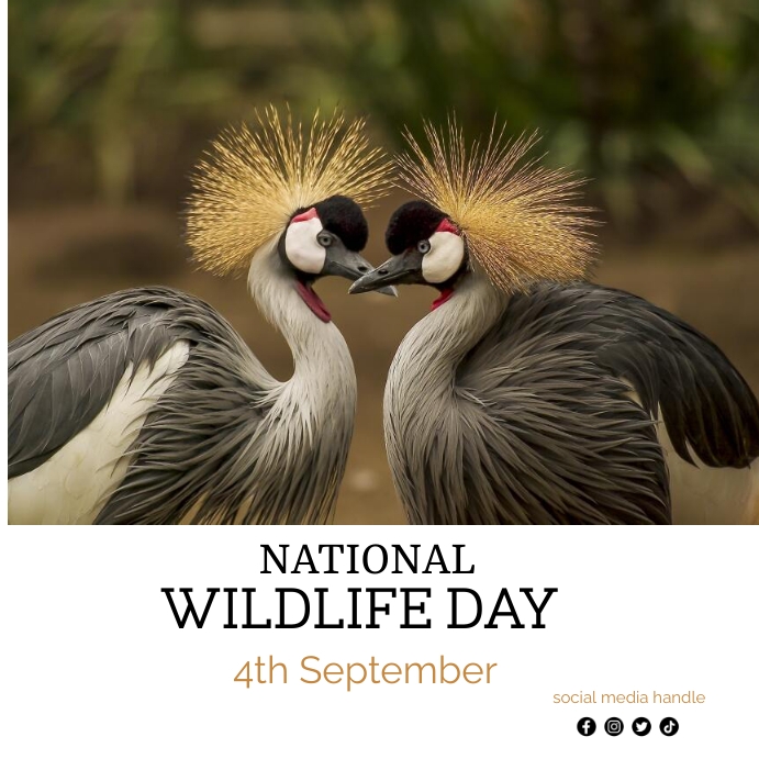 National Wildlife Day Template PosterMyWall