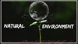 Black Natural Environment vedio YouTube-Miniaturansicht Template