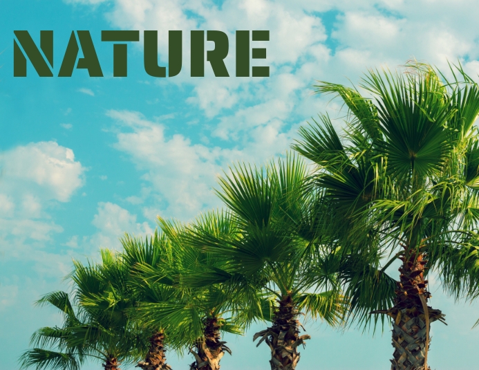 Tree Typography Examples Nature palm tree typography design template | PosterMyWall